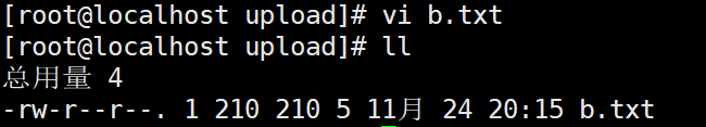 1763986556505