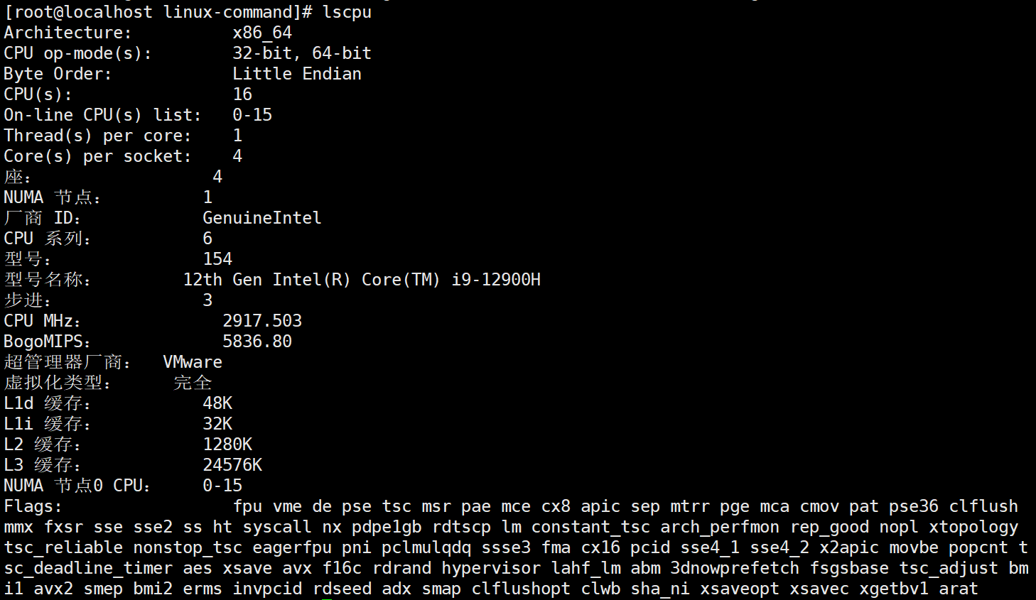lscpu-command-output.png