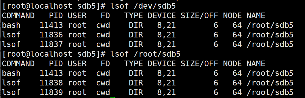 lsof_process_info.png