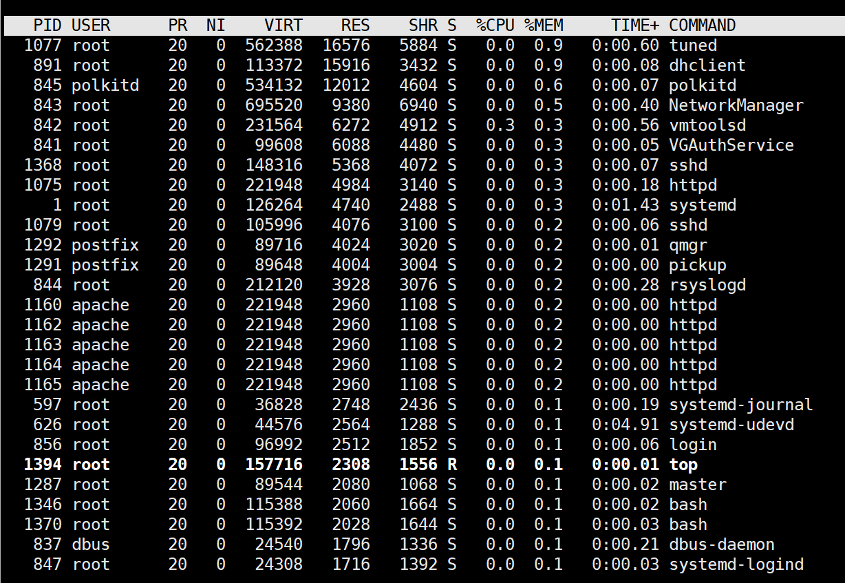 top-command-output.png